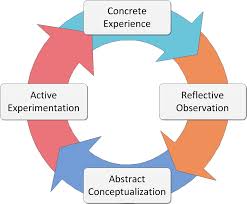 images cycle de kolb