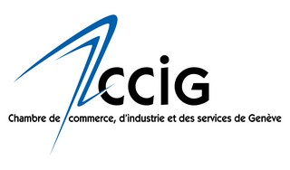 CCIG_logo_2006 (1)