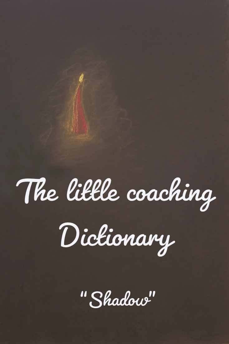 the-little-coaching-dictionary-shadow