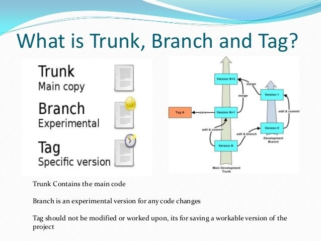 trunks, branches and tags